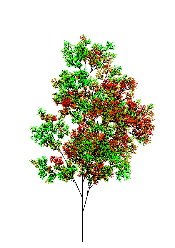 A tree.