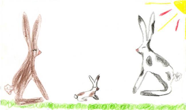 rysunek króliczków